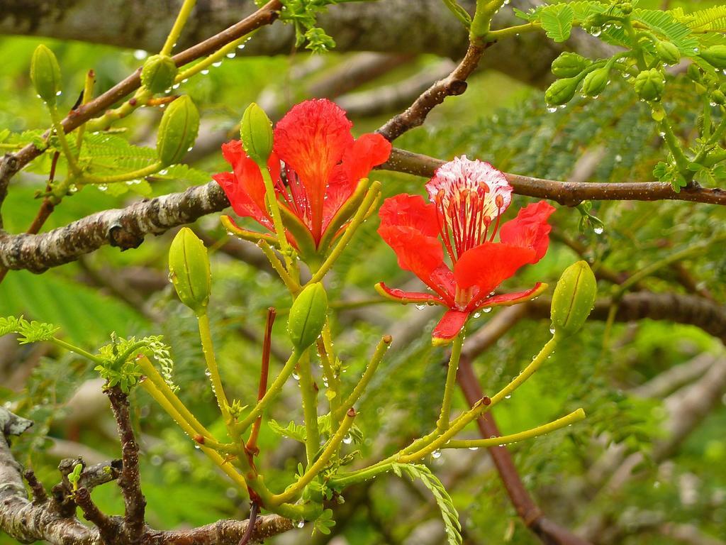Lantana Galu Beach Diani Beach Kültér fotó